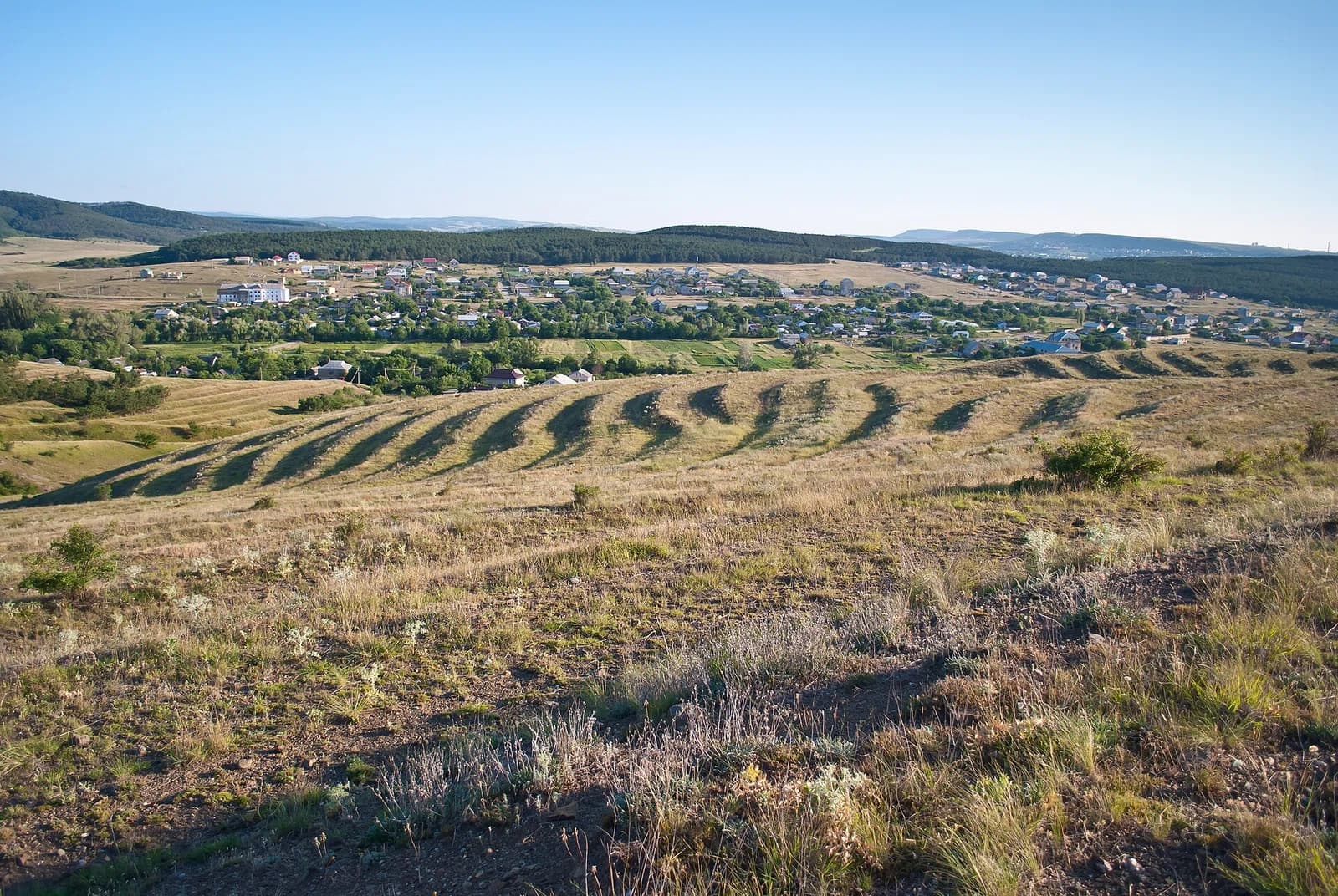 Strogonivka