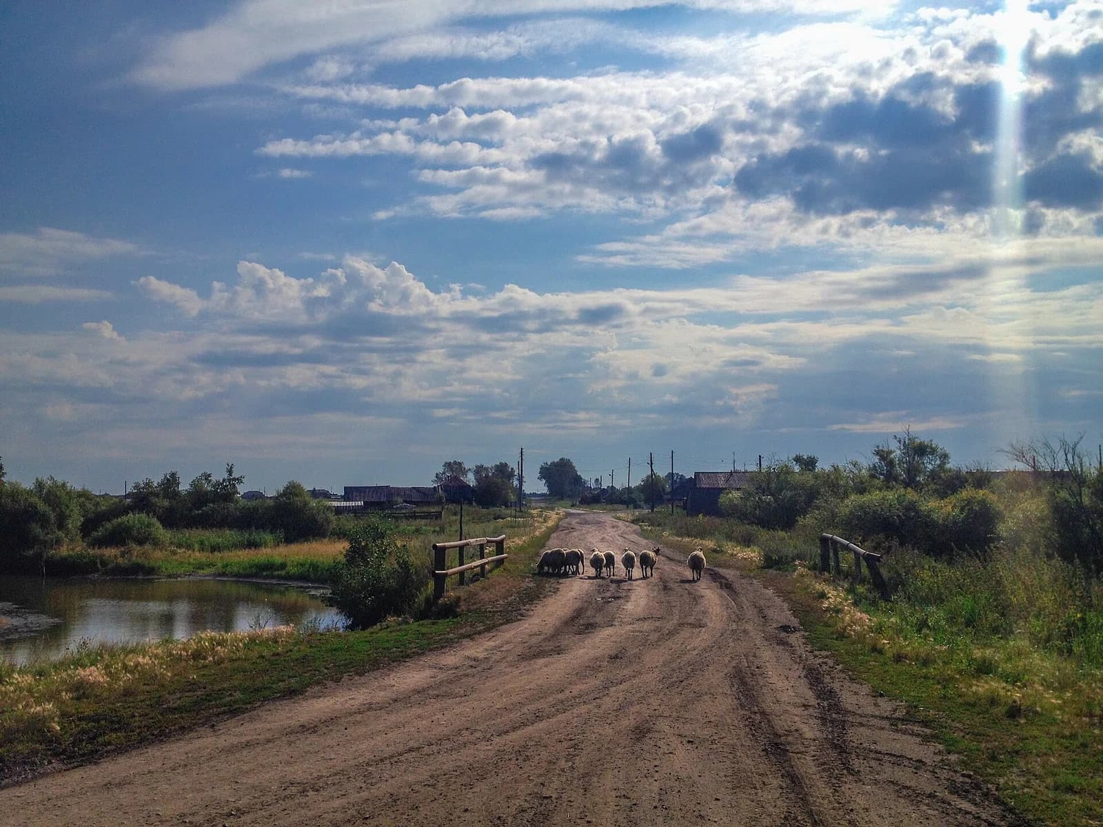 Talitsky District