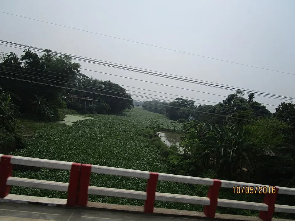 Trishal Upazila