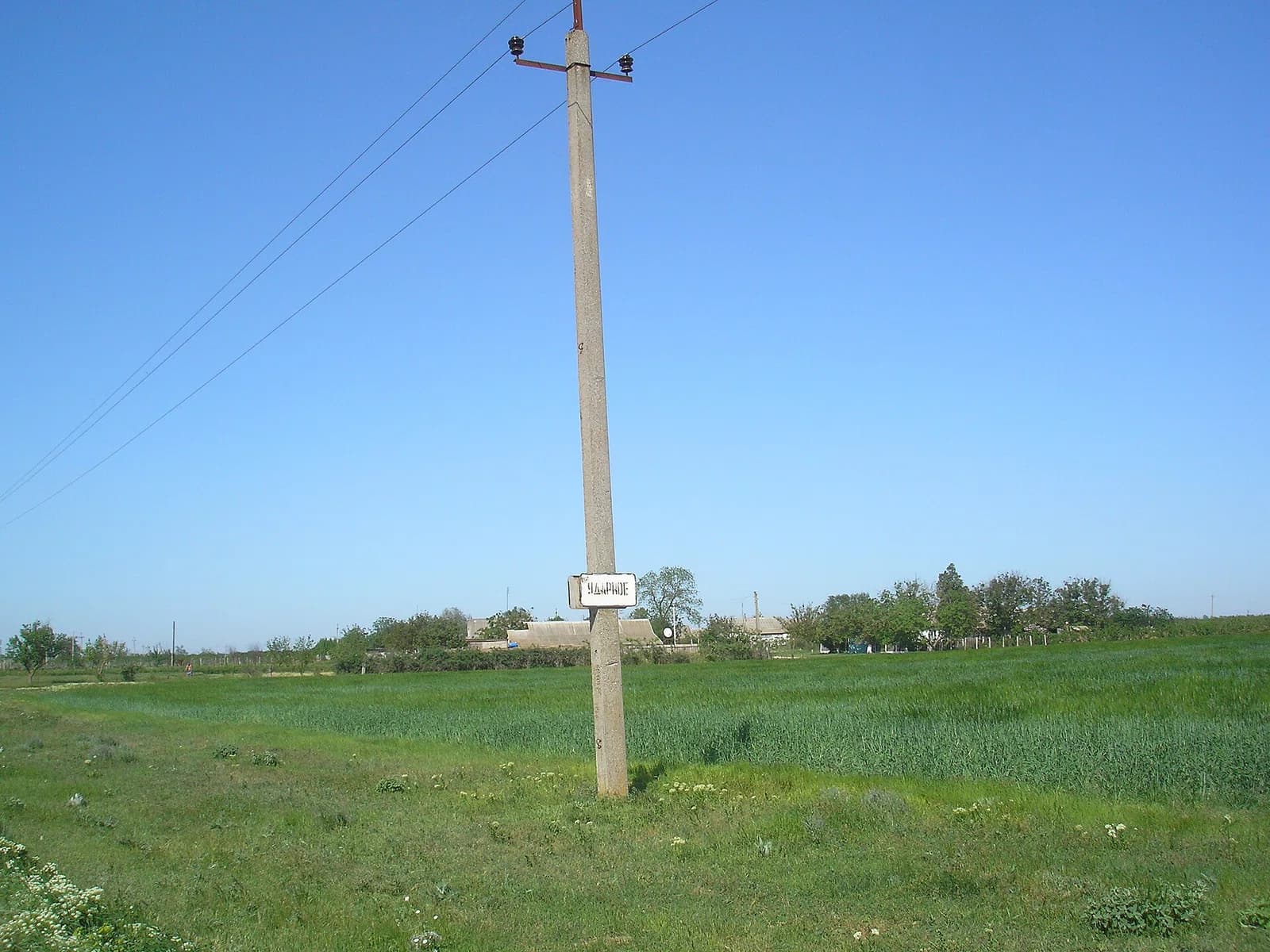 Udarne