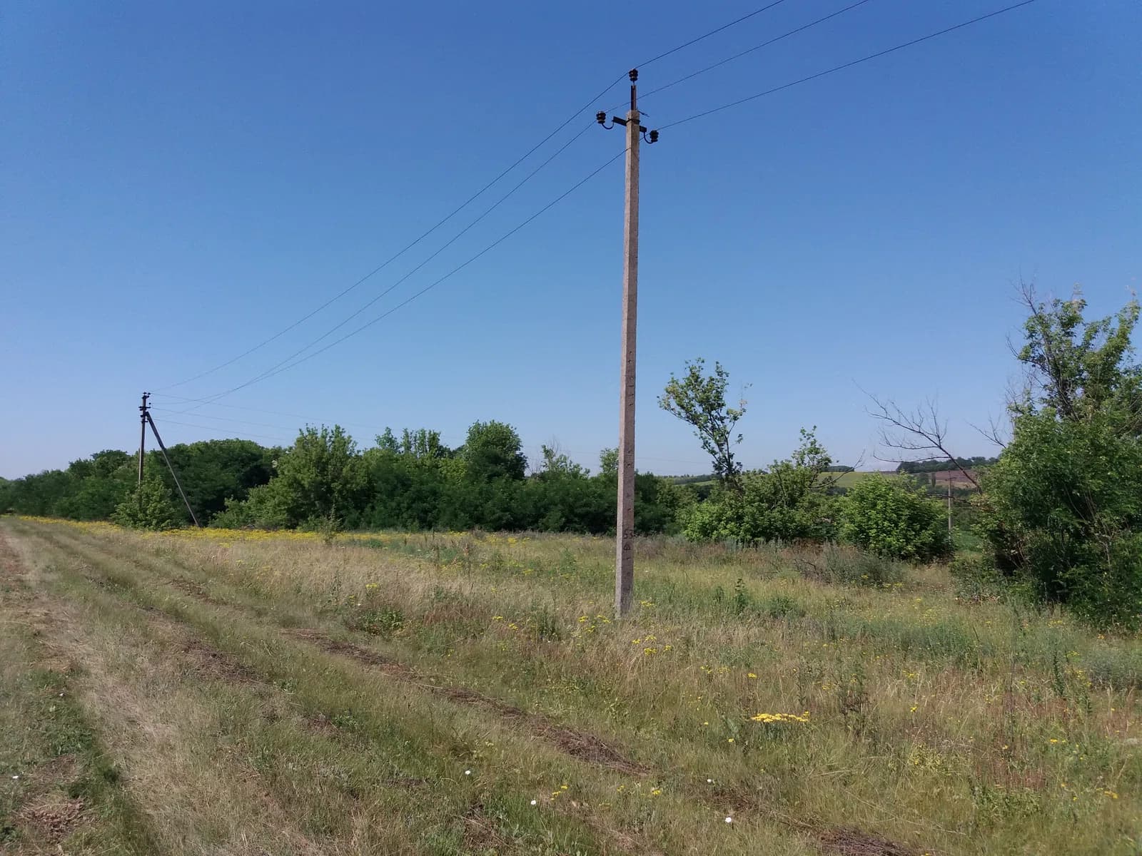 Fedorivka