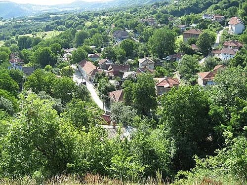 Tsar Kaloyan