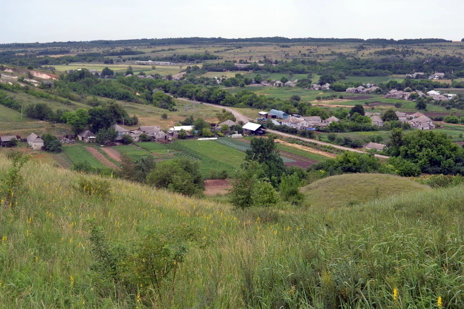 Chervonopopivka