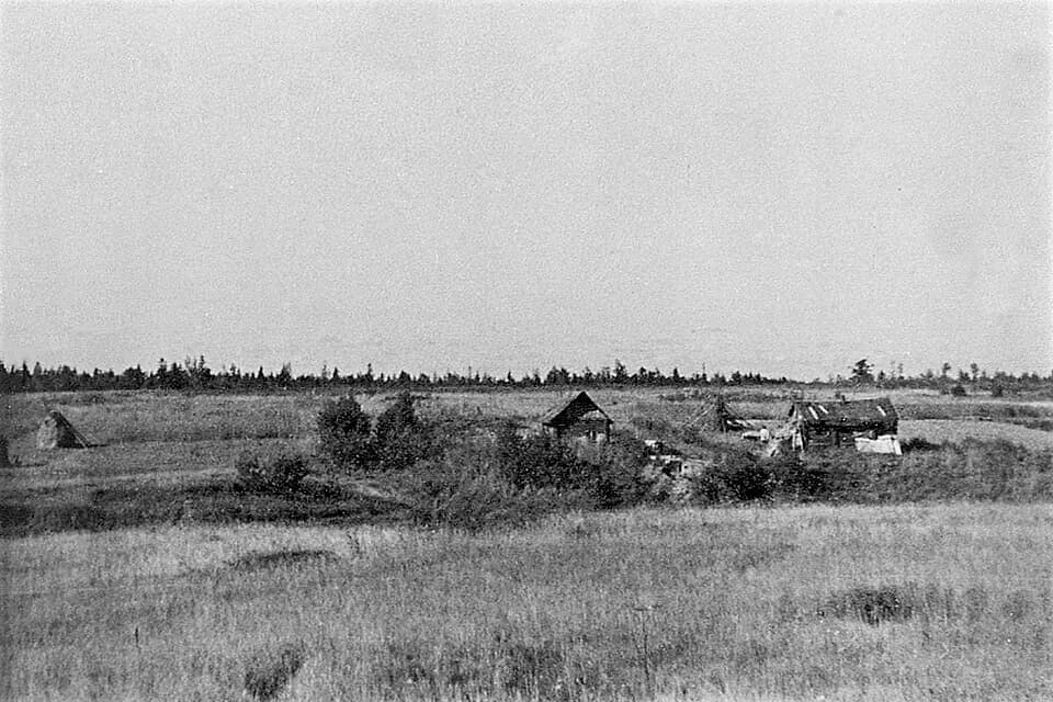 Chernushki