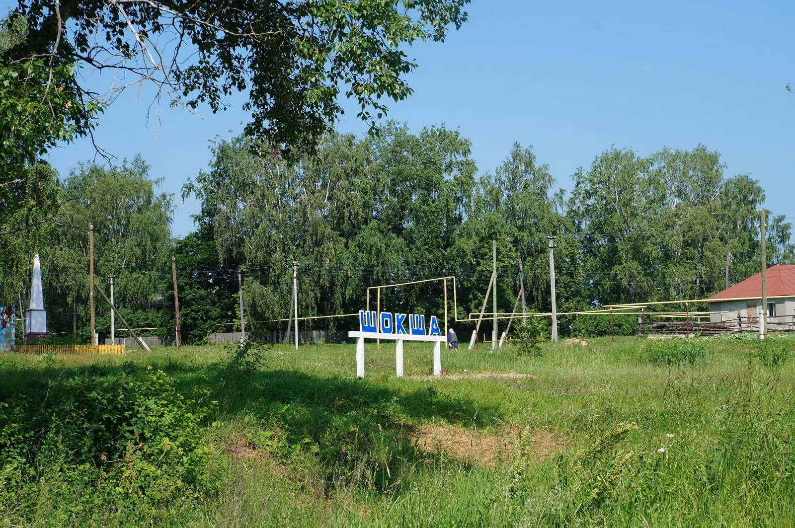 Schokscha