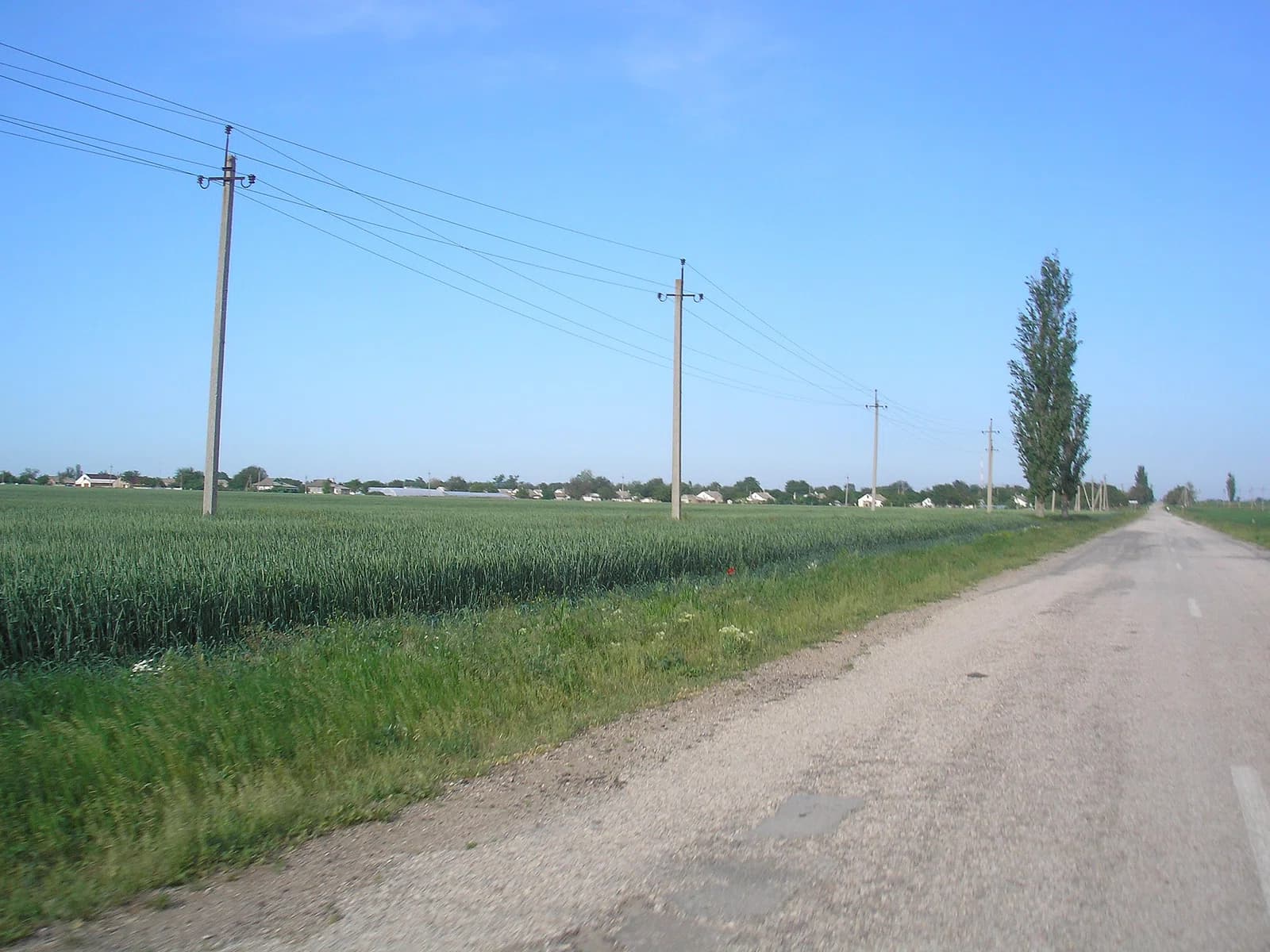 Iarke Pole