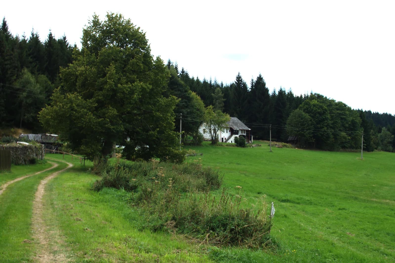 Jáchymov