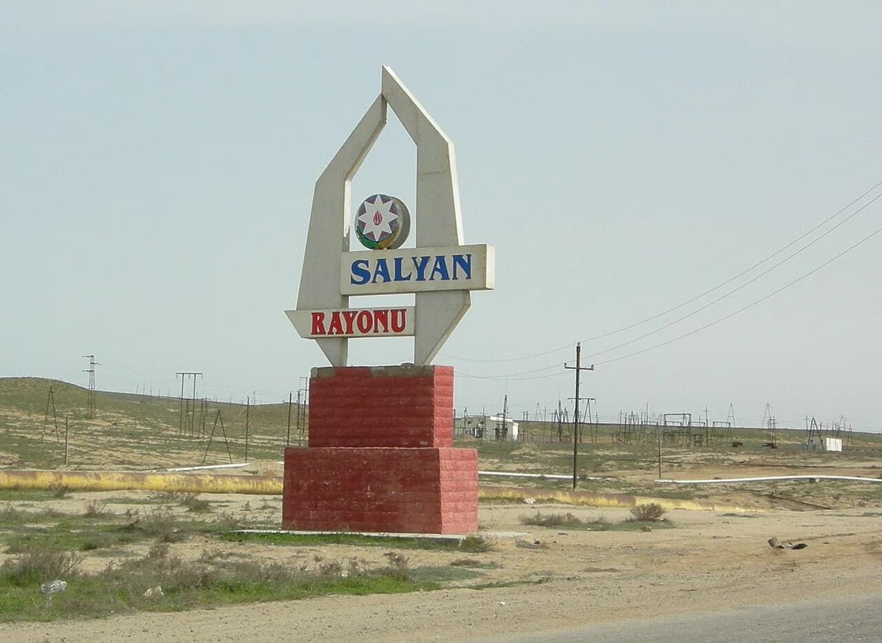 Salyan District