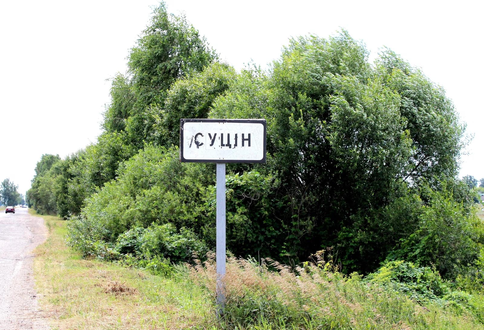 Sucin