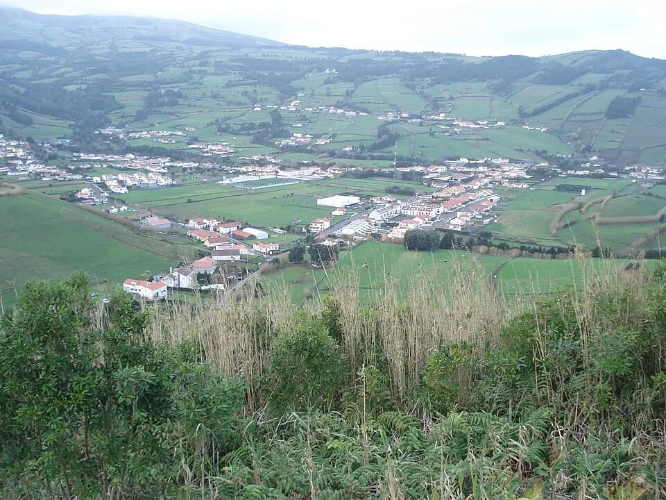 Flamengos