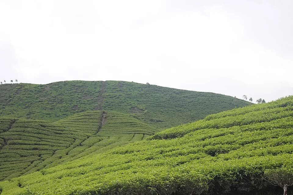 Alahan Panjang