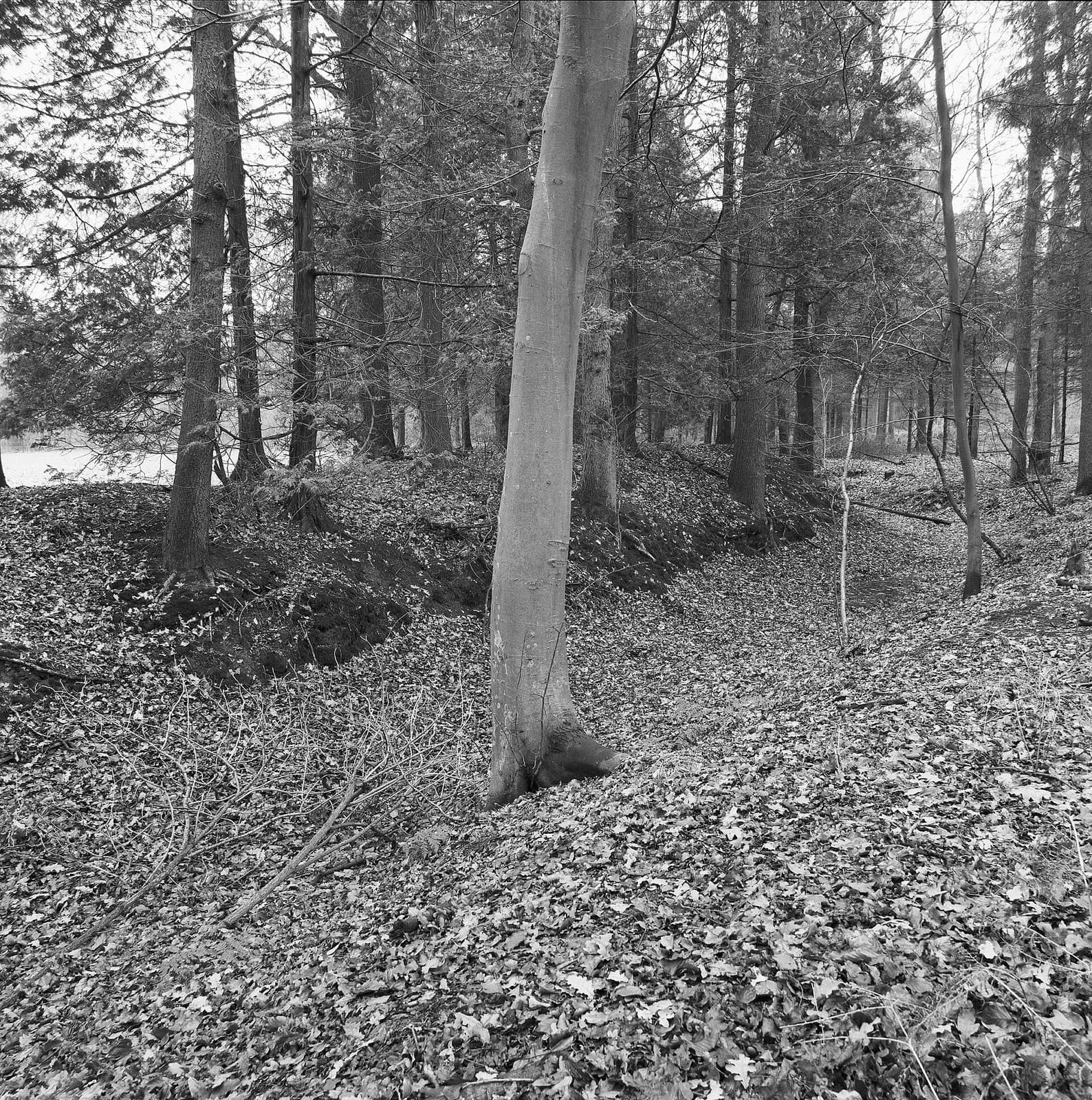 Broekheurne