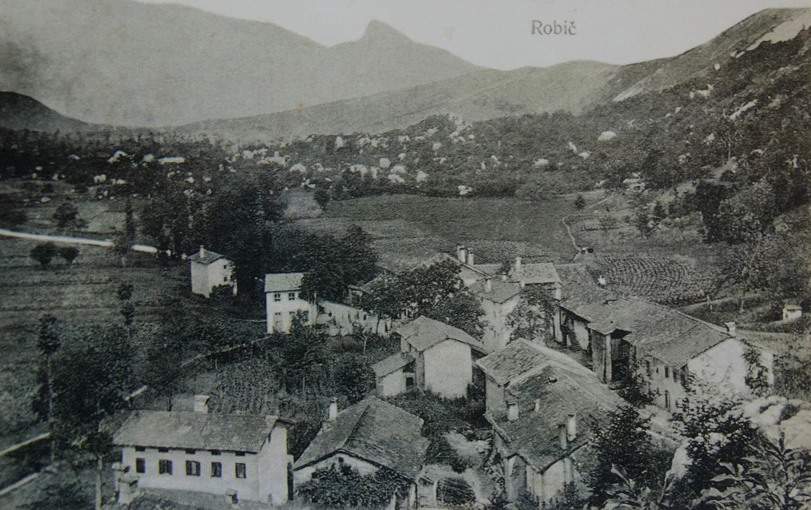 Robič