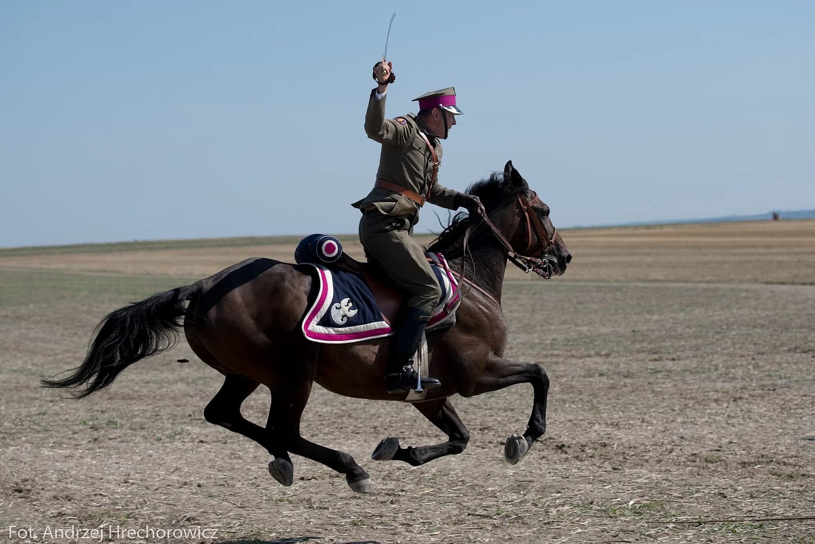 cavalry