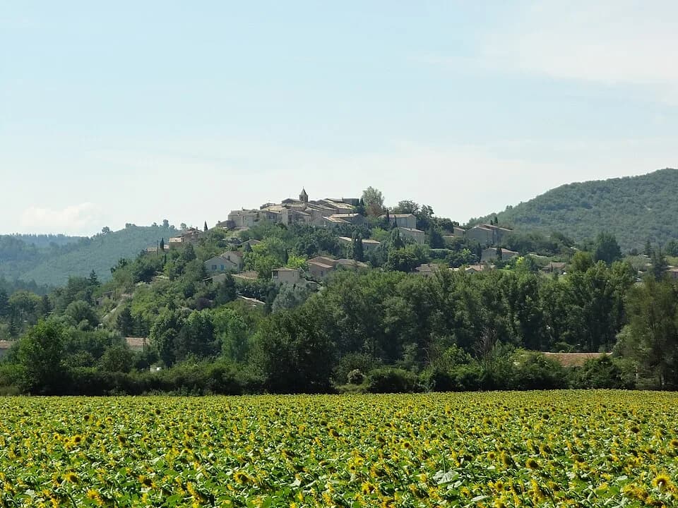 Dauphin
