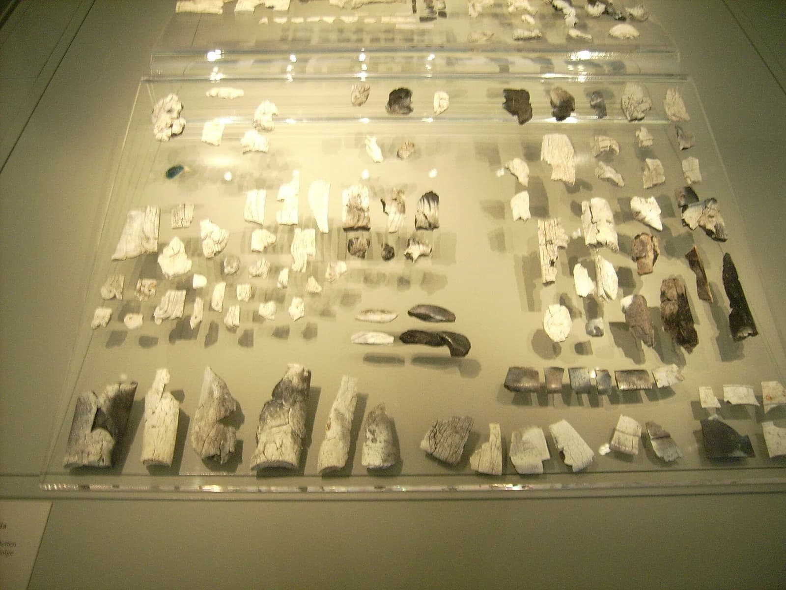 Antikensammlung Berlin