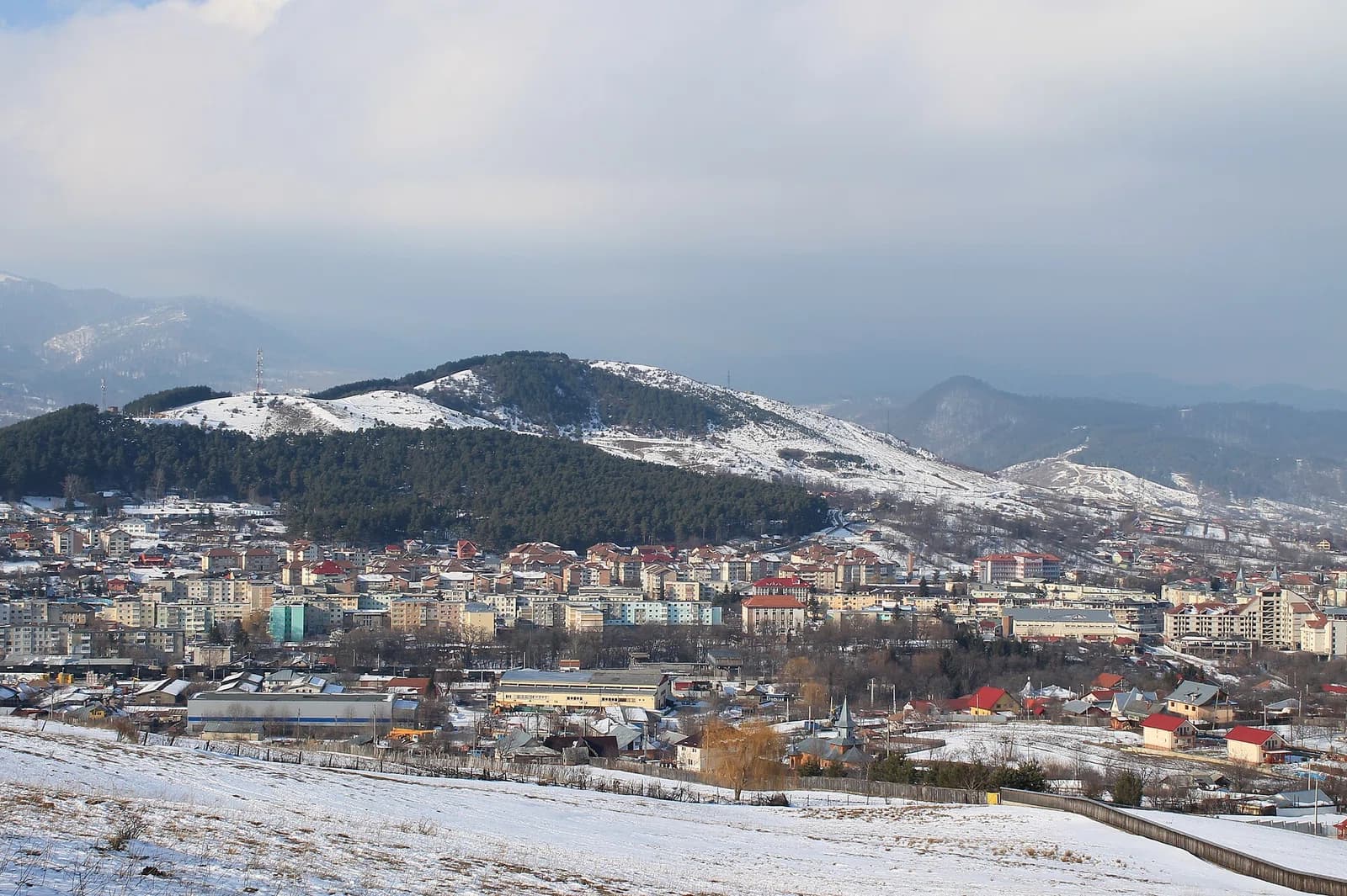 Moinești