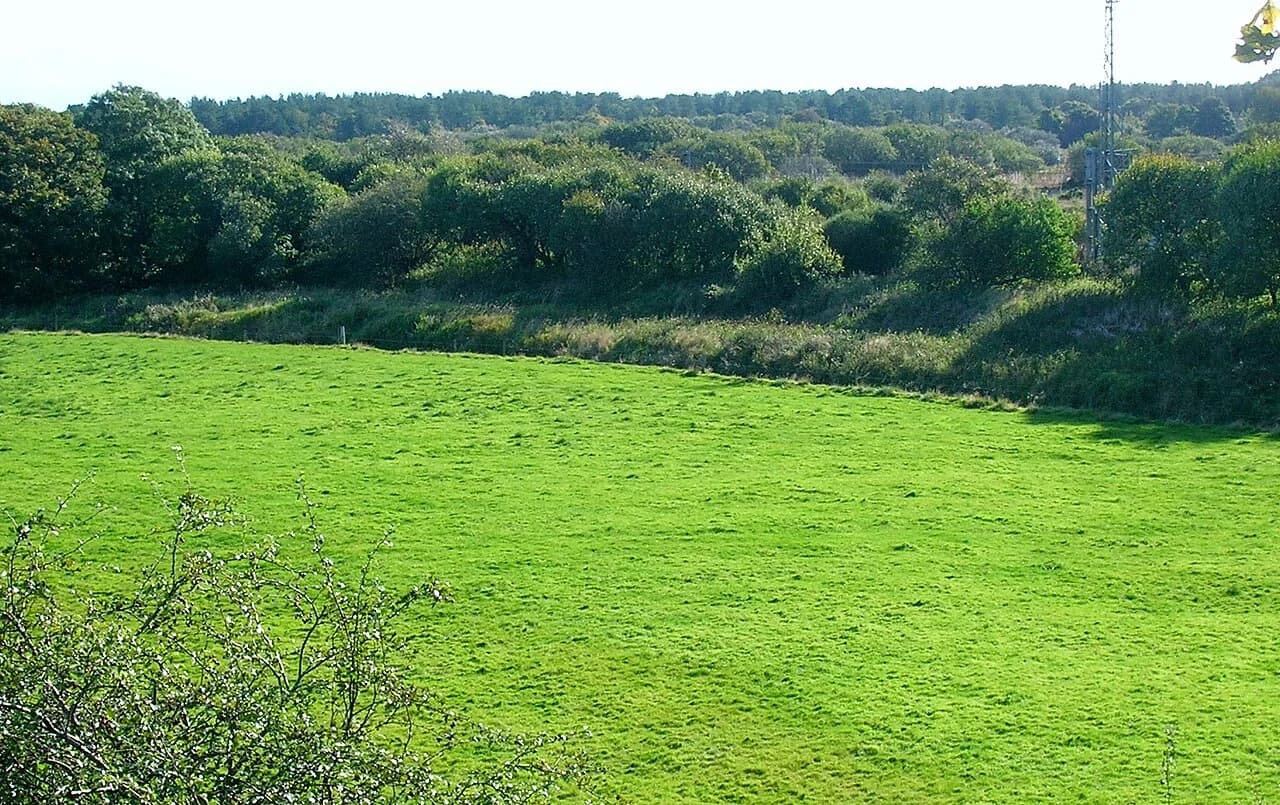Ardeer