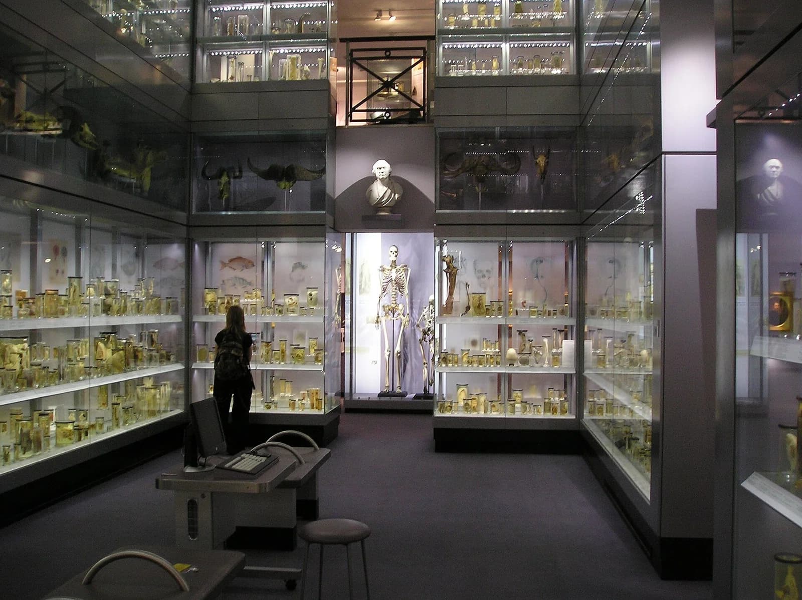 Museum Hunterian