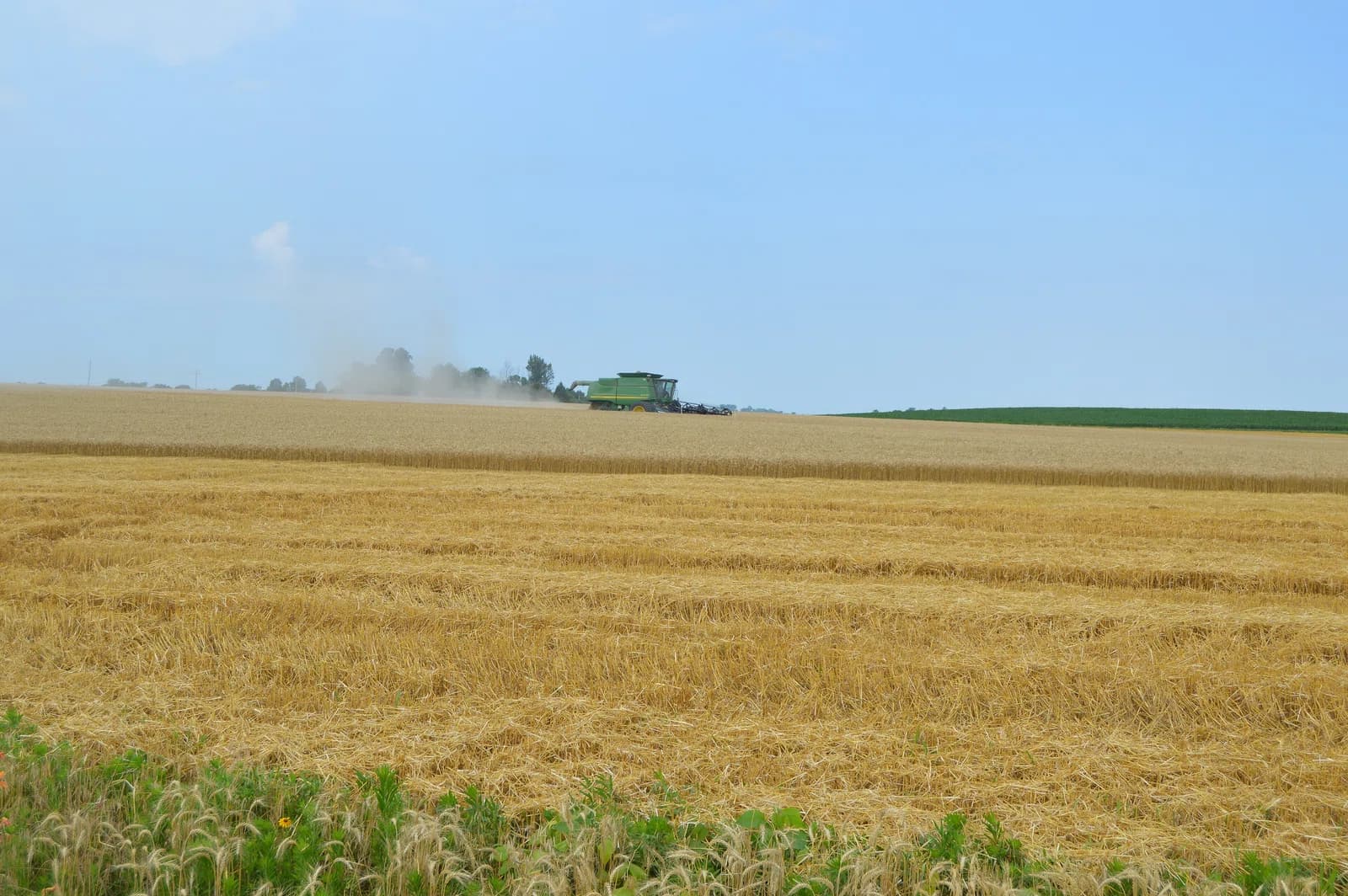 Asbury Township