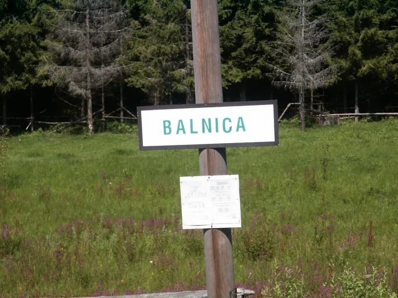 Balnica