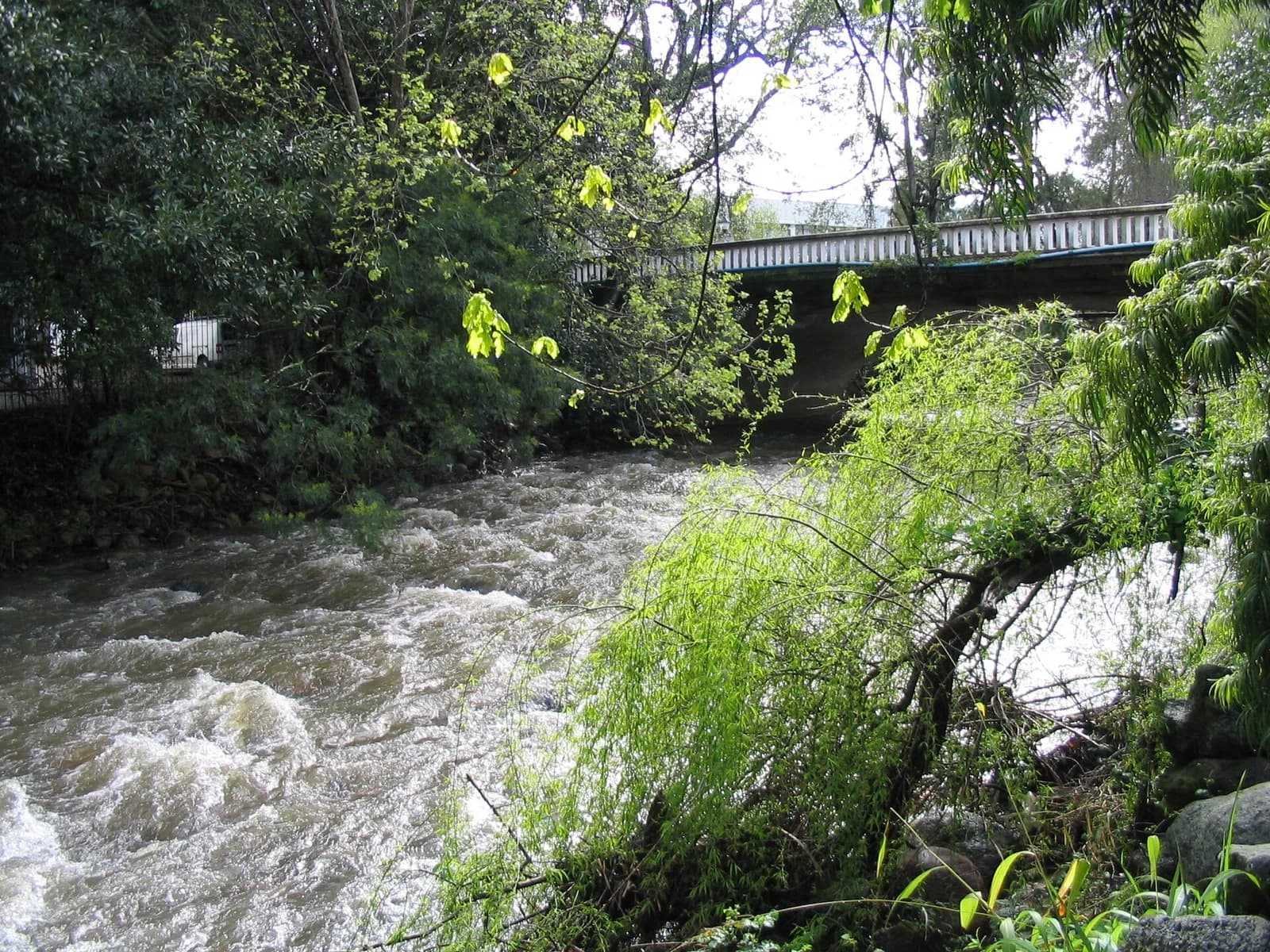 Eerste Rivier