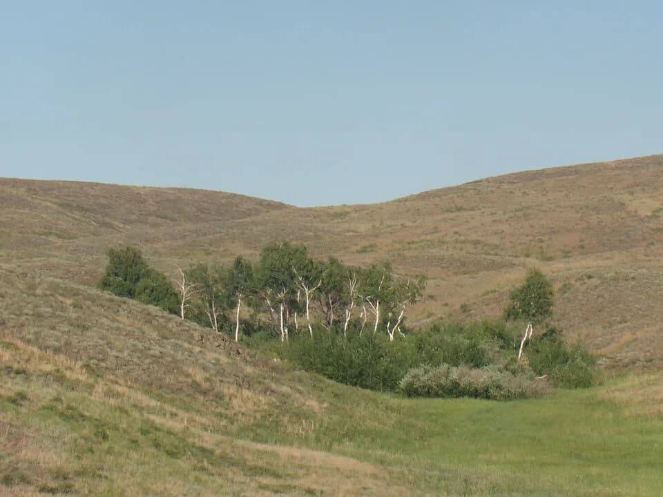 Aktobe Region