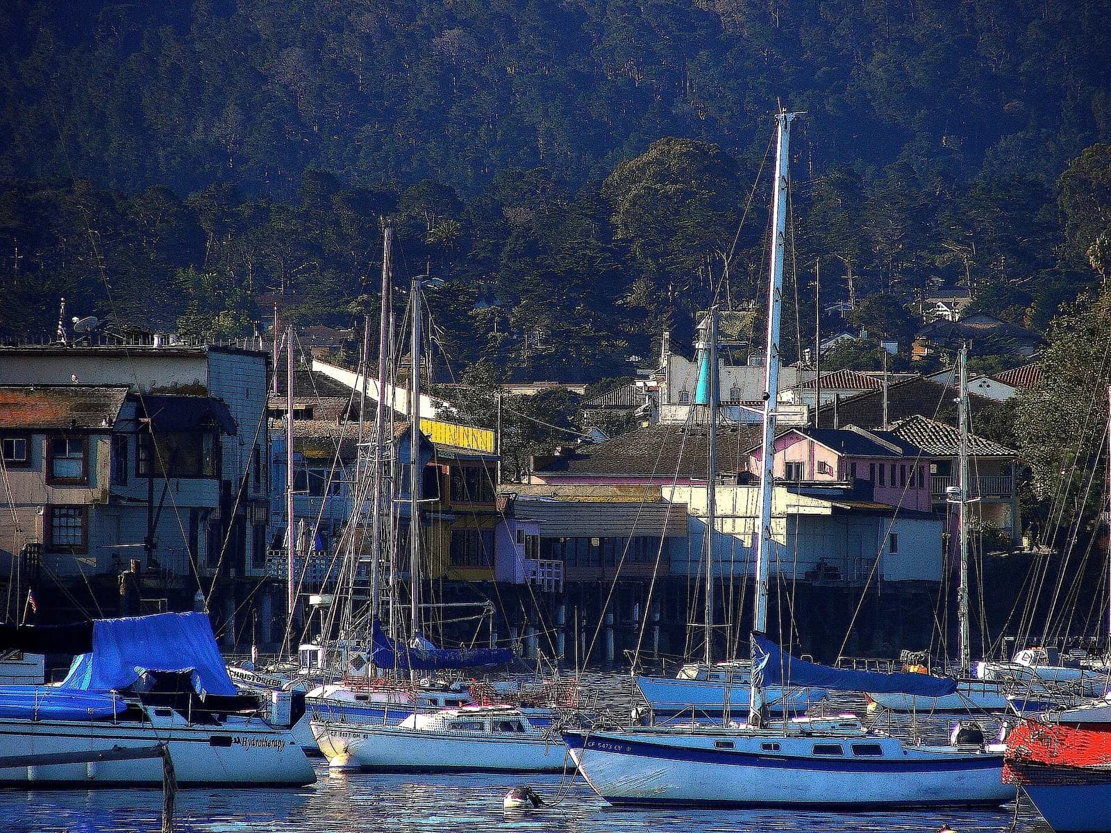 Monterey