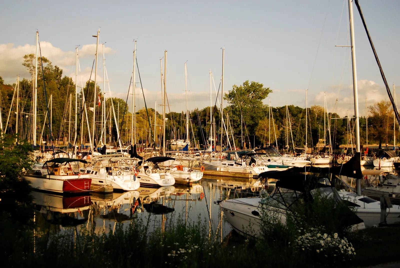 Bayfield