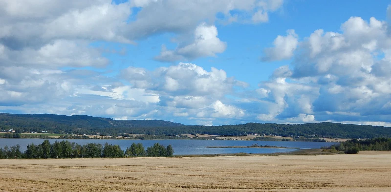 Åsnes Municipality