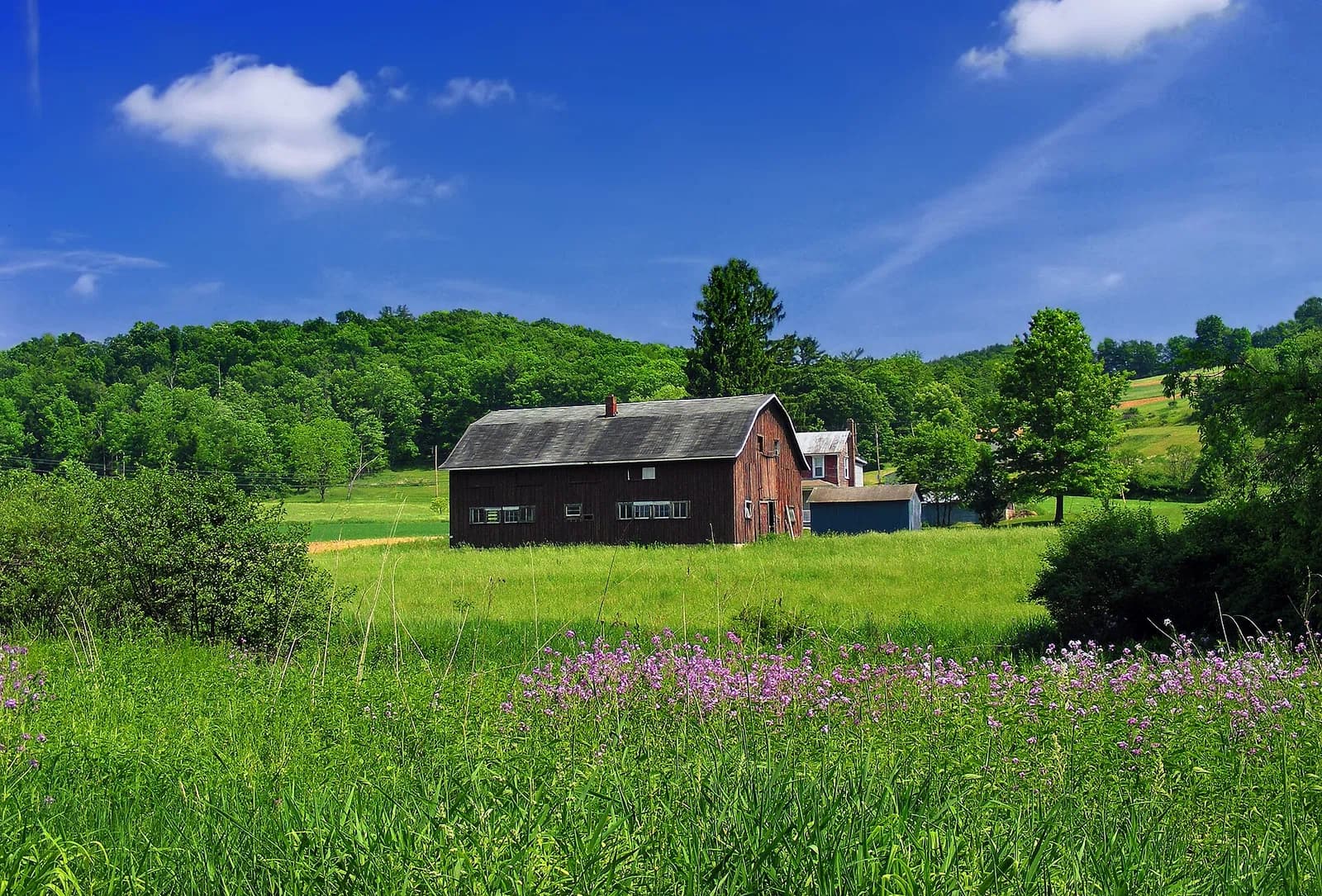 Benton Township