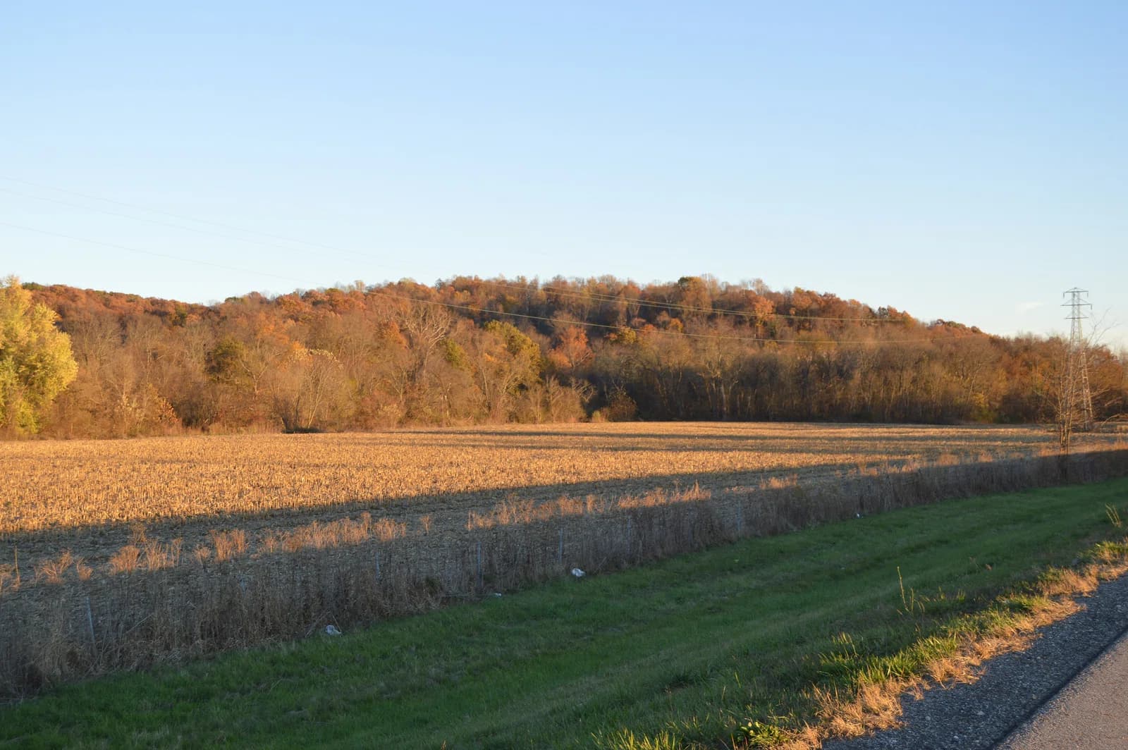 Berne Township