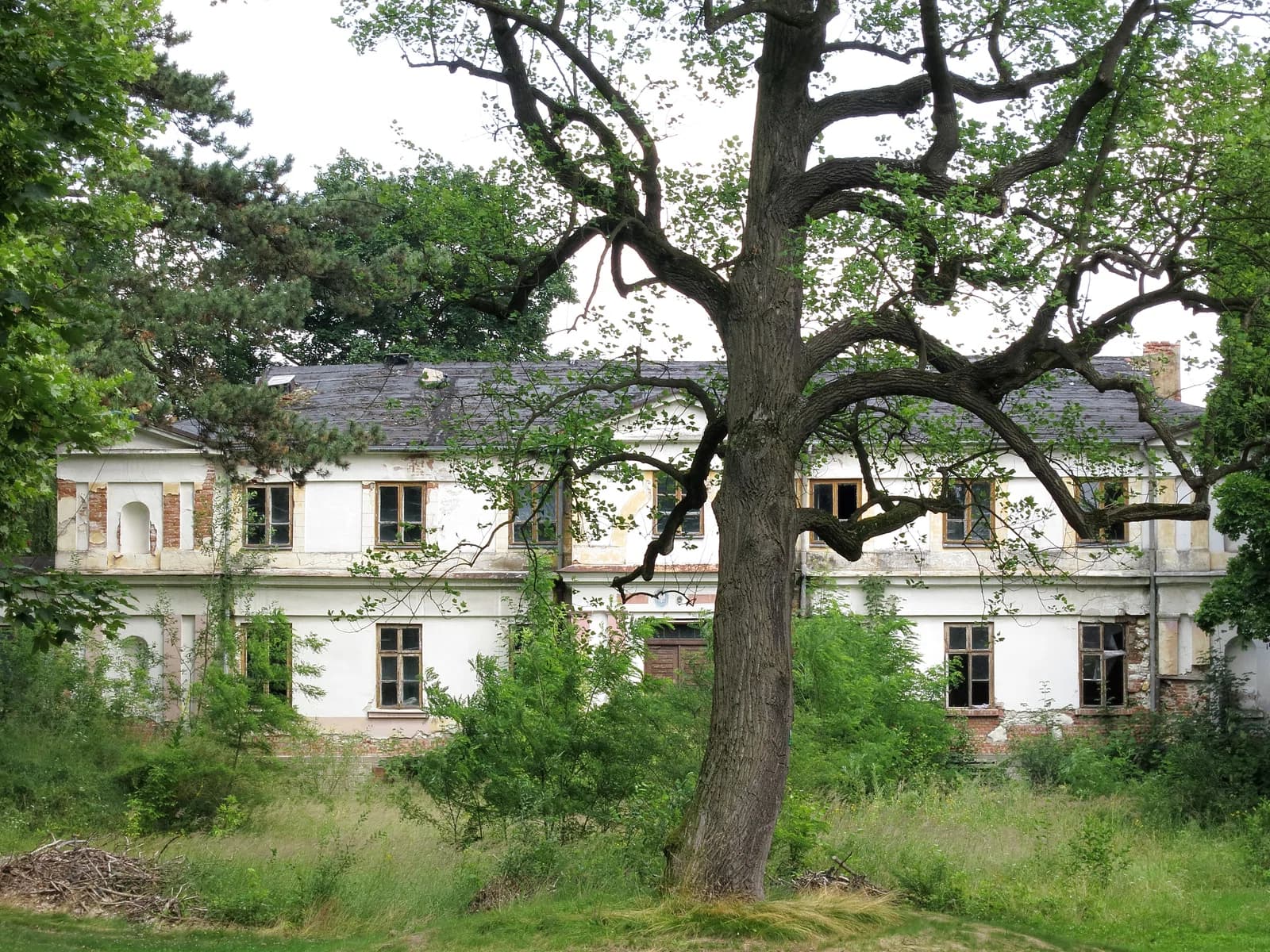 Biała Wielka