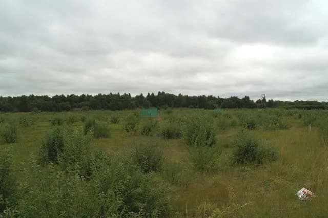 Bickershaw Colliery