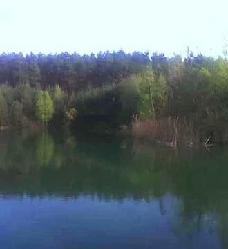 Biestrzynnik