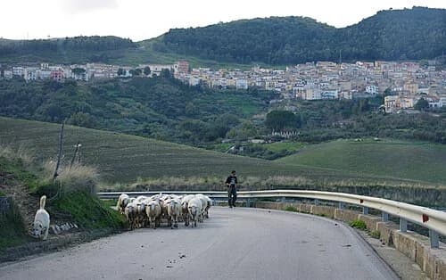 Contessa Entellina