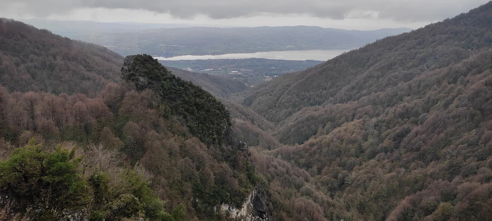 Kartepe district