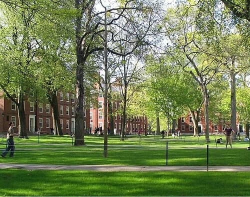 Harvard College
