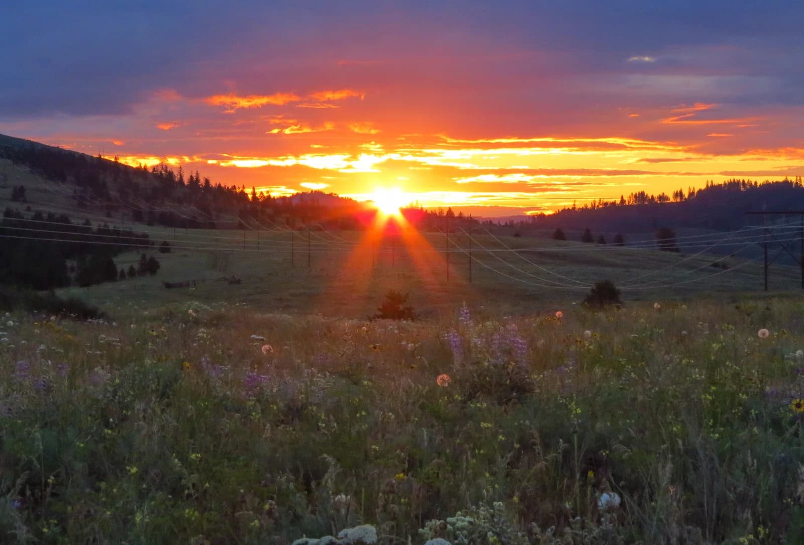 Ferry County