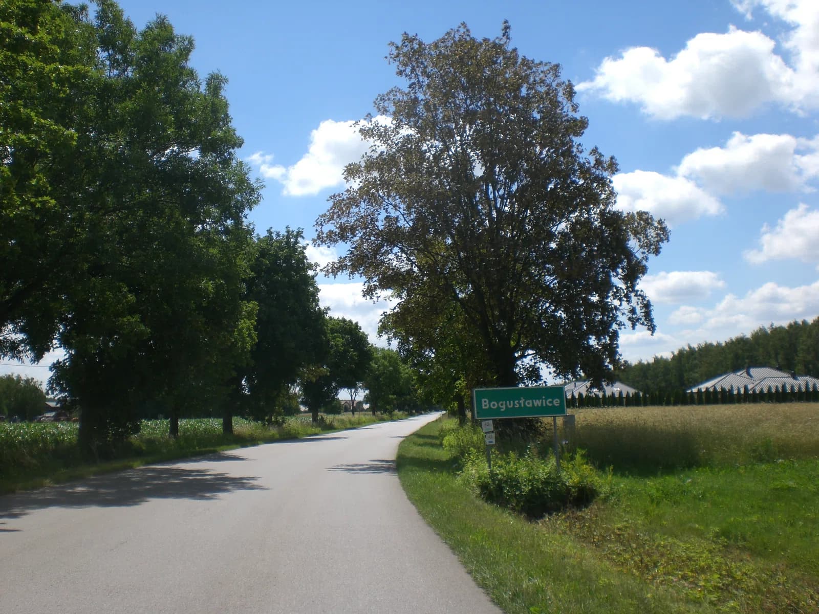 Bogusławice