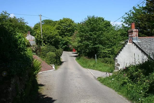 Bolenowe