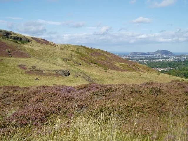 Bonaly