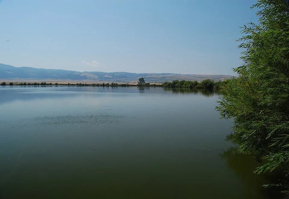 Idaho County