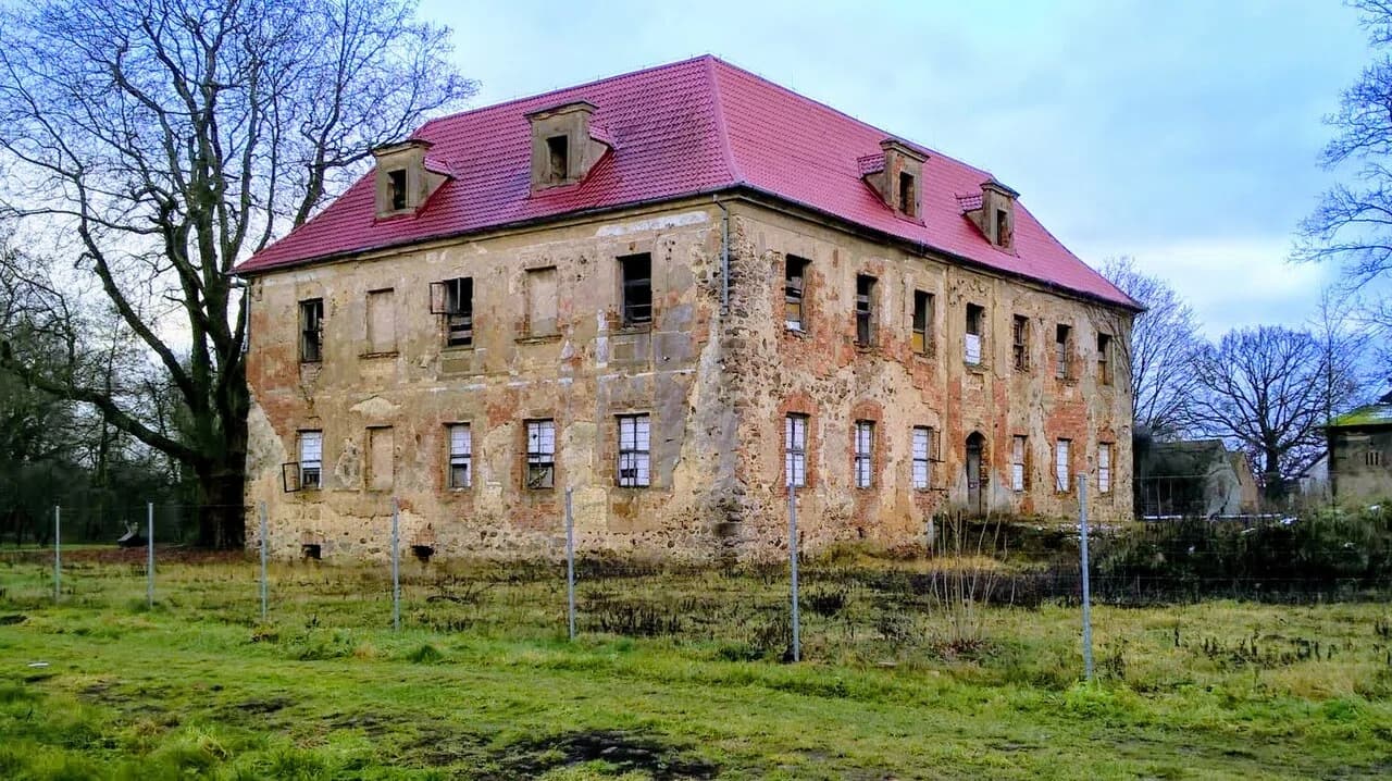 Borowina