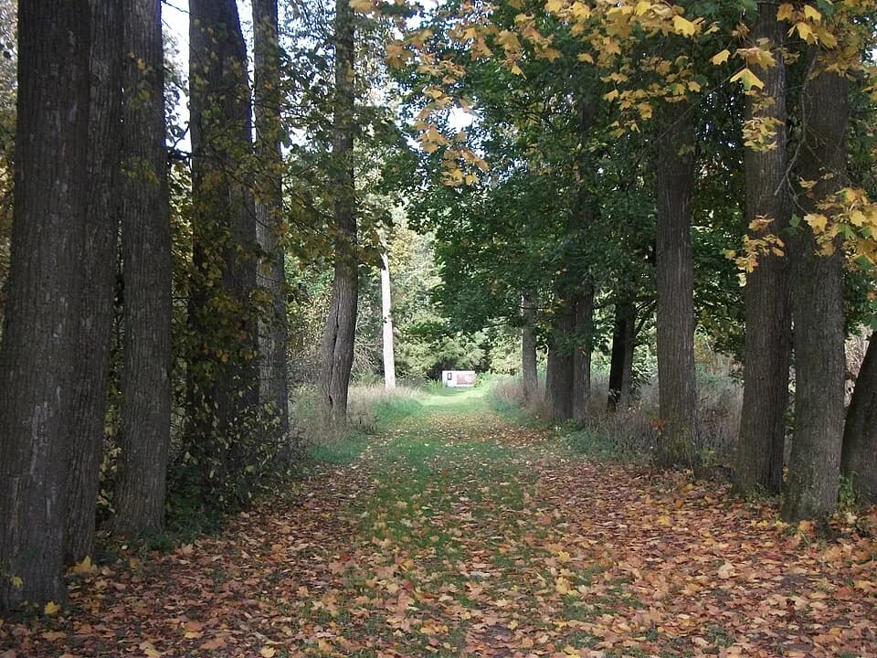 Batovo
