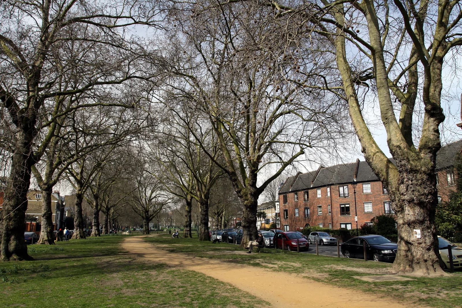 Brook Green