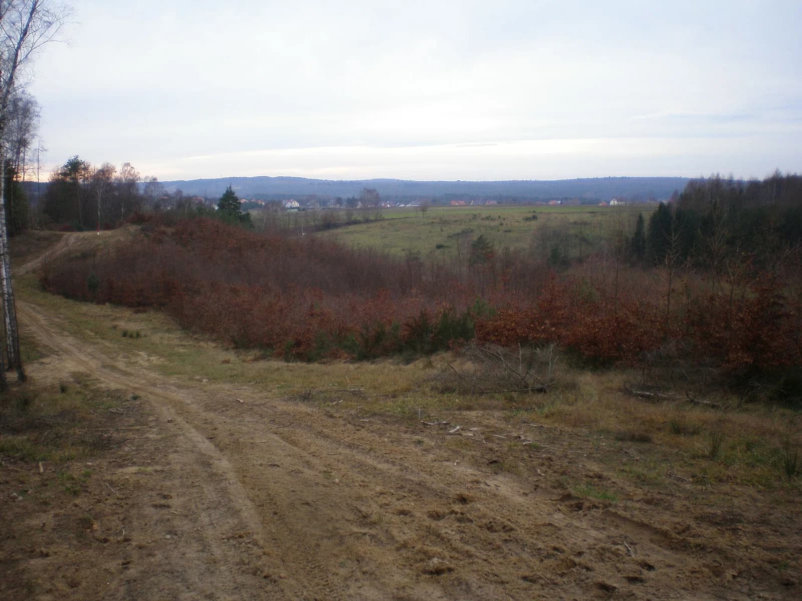 Zbychowo