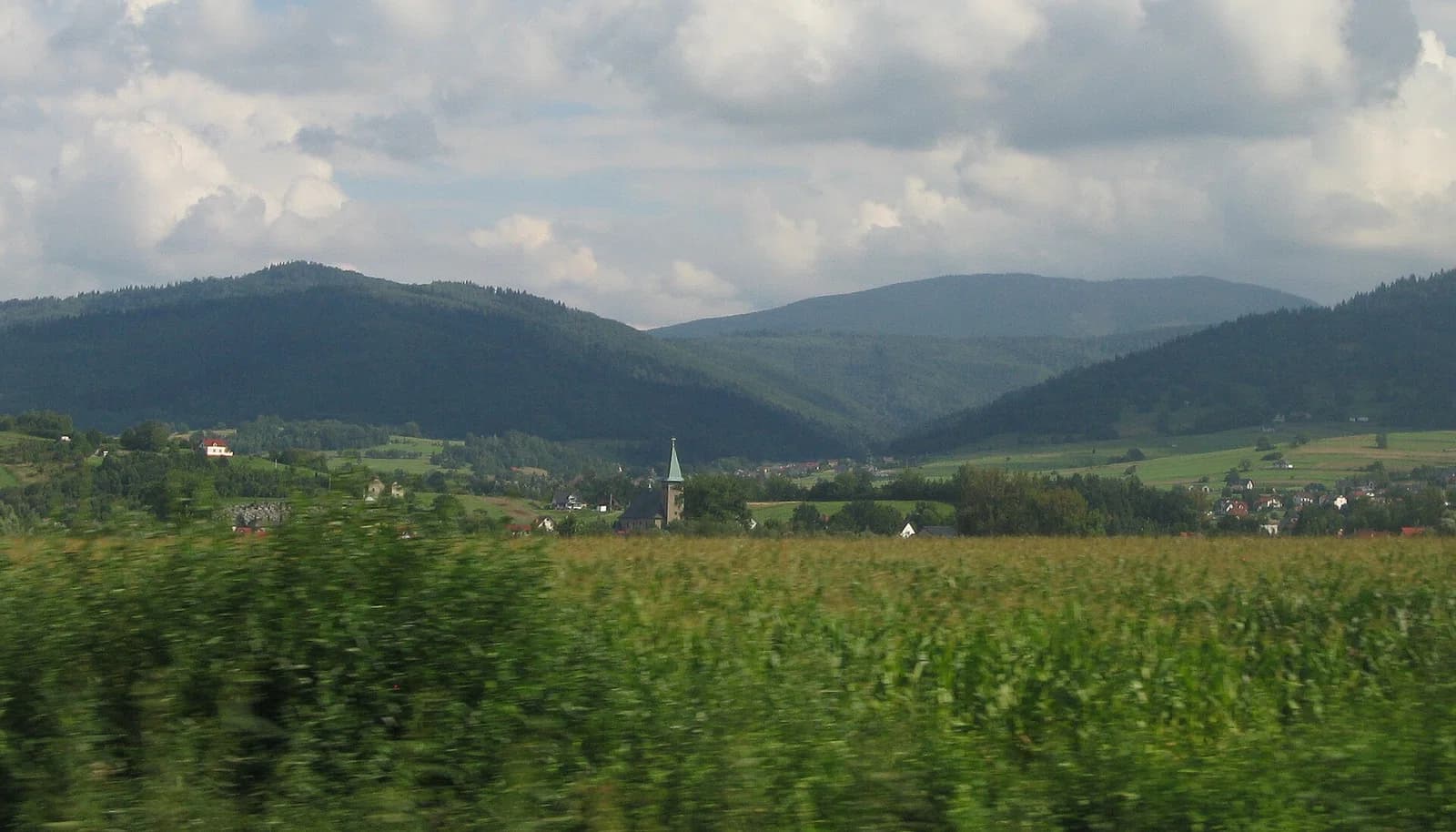Brzuśnik