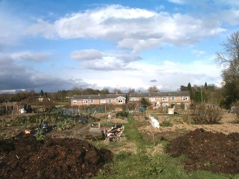 Buckland Common
