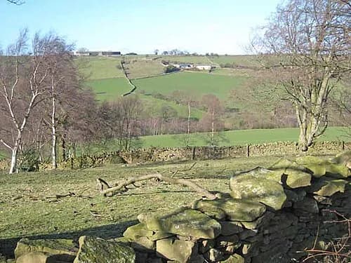 Butsfield